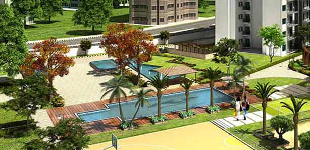 Property Bought in Ranikhet