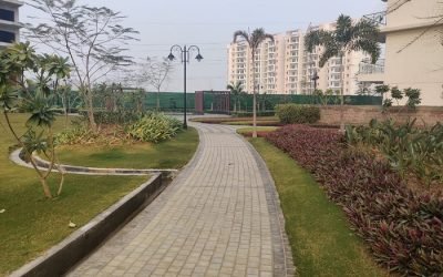 Exploring Local Home Values: Your Guide to Real Estate Market Trends