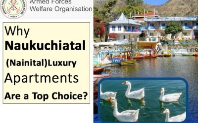 Why Naukuchiatal(Nainital) Luxury Apartments Are a Top Choice?