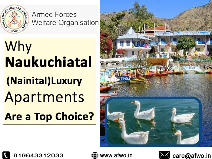 Luxury Apartments